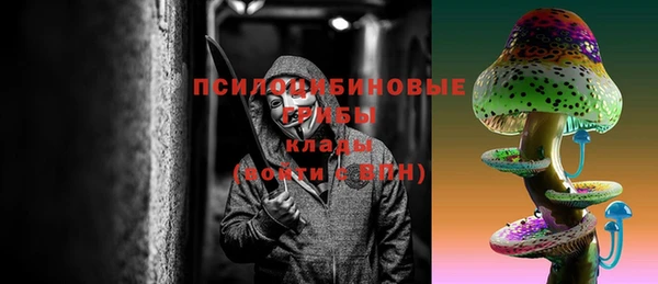 jwh Гусь-Хрустальный