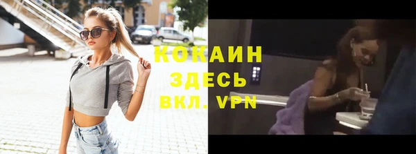 СК Гусев