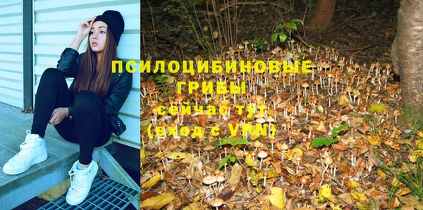 кокаин перу Шали