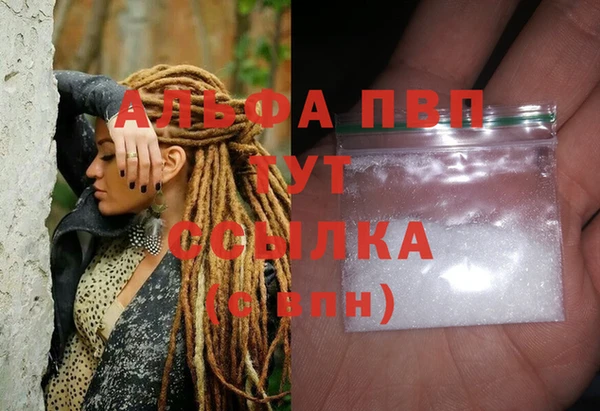 СК Гусев
