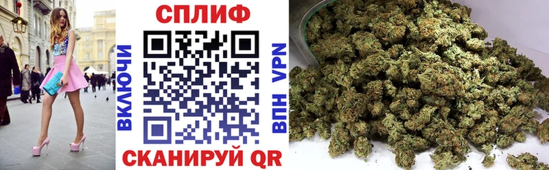 Канабис ГИДРОПОН  Холм 