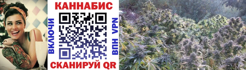 Шишки марихуана Bruce Banner Холм